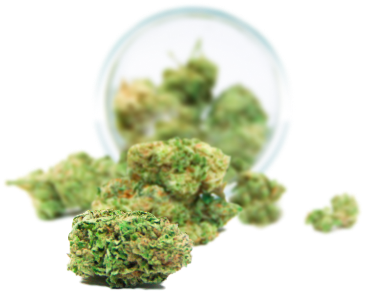 Cannabis Compliance and R&D Testing