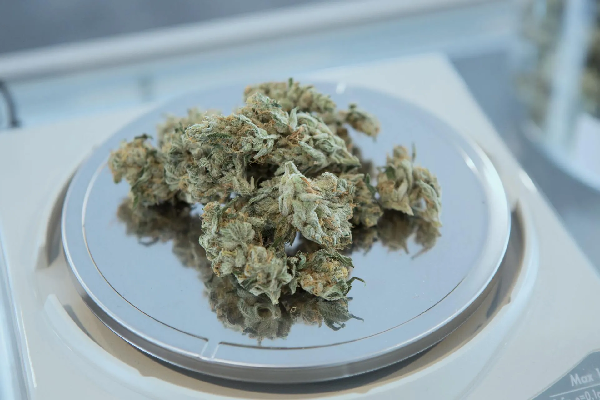Cannabis