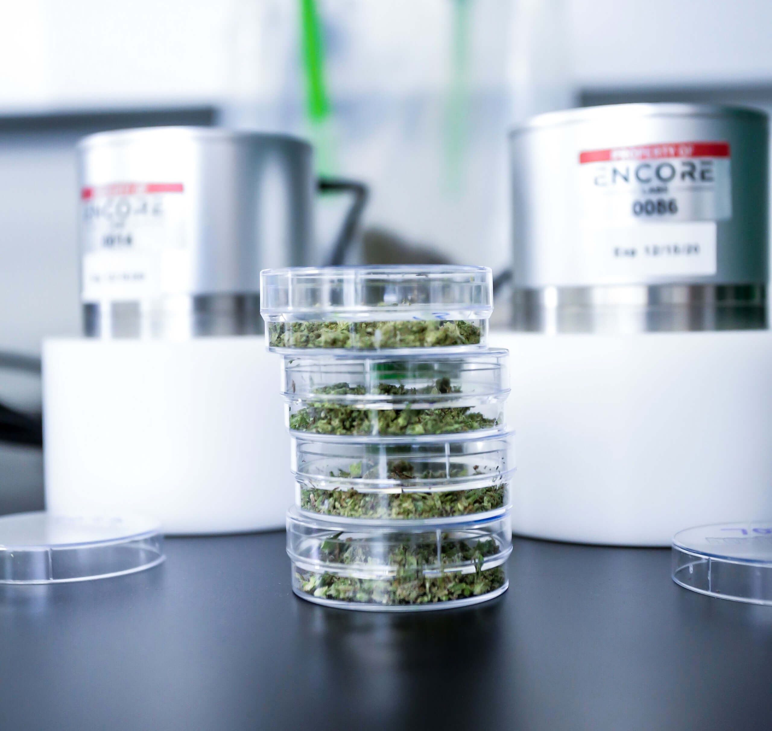 Cannabis Moisture Testing