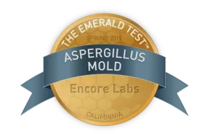 Aspergillus Mold