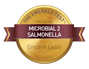 Microbial 2 Salmonella