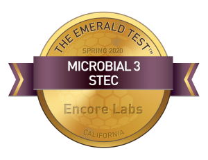  Microbial 3 STEC