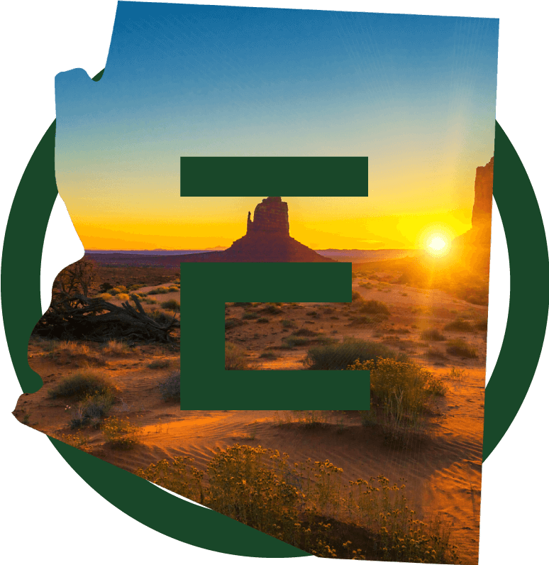 Arizona 