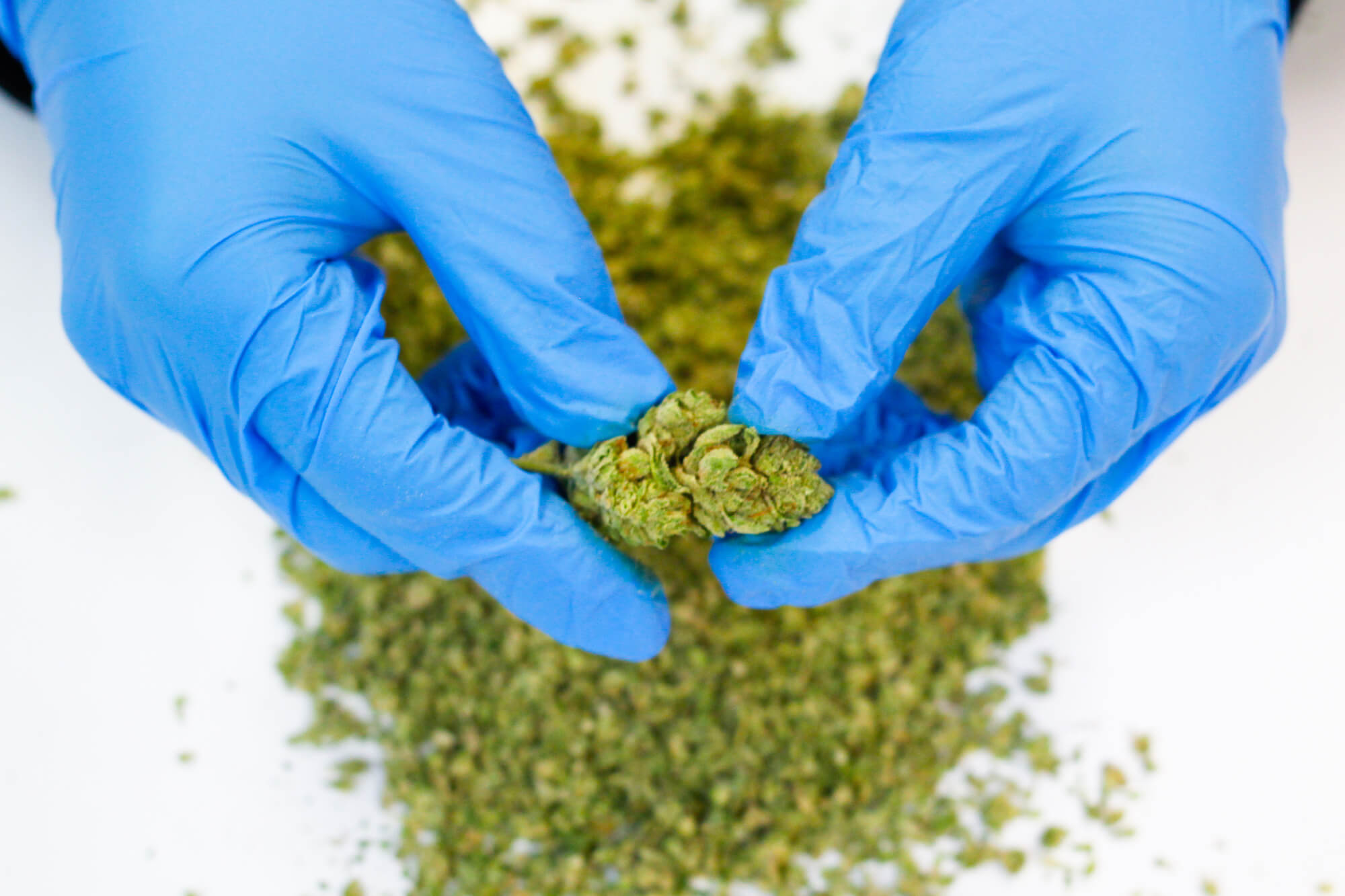 Cannabis Foreign Material Testing