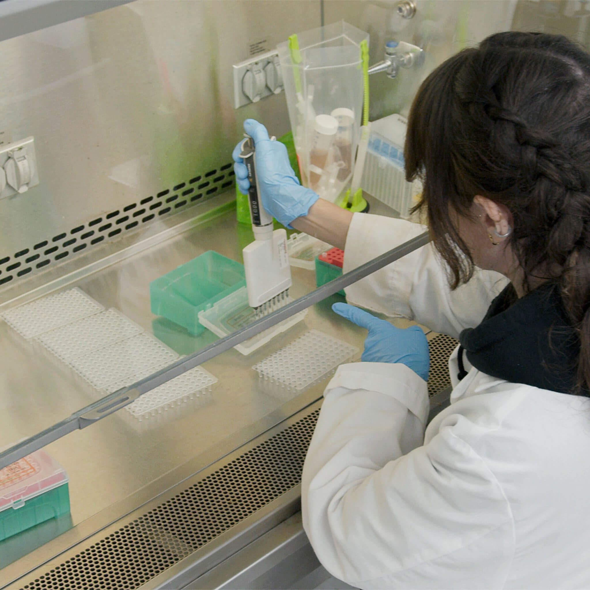 Cannabis Microbial Testing