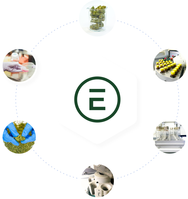The Arizona cannabis compliance testing process starts with ensuring the proper documentation is presented to our cannabis testing lab prior to scheduling the compliance pick up or drop off.