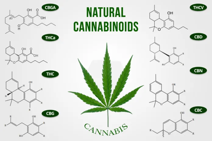 Cannabinoids