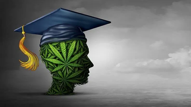 Cannabis+Degree