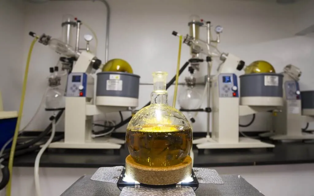Cannabis+Extraction