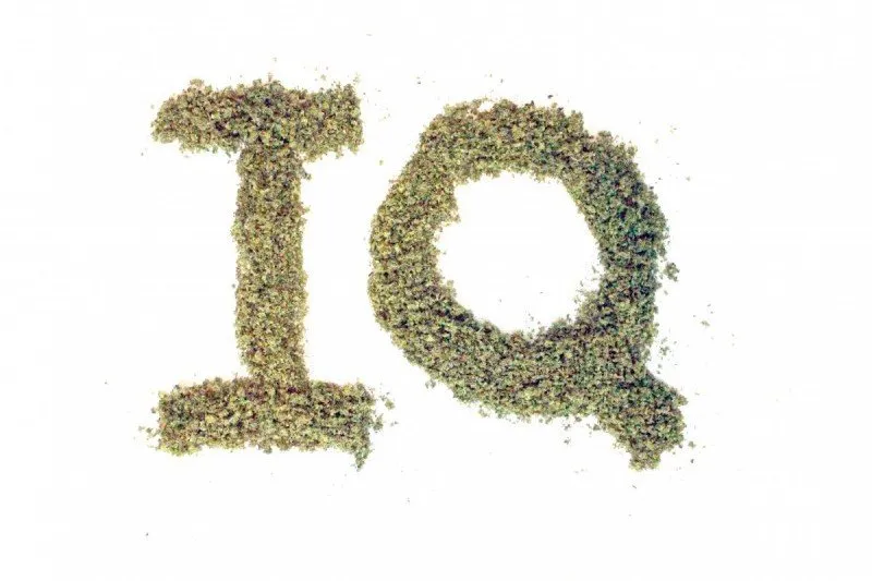 Cannabis+IQ