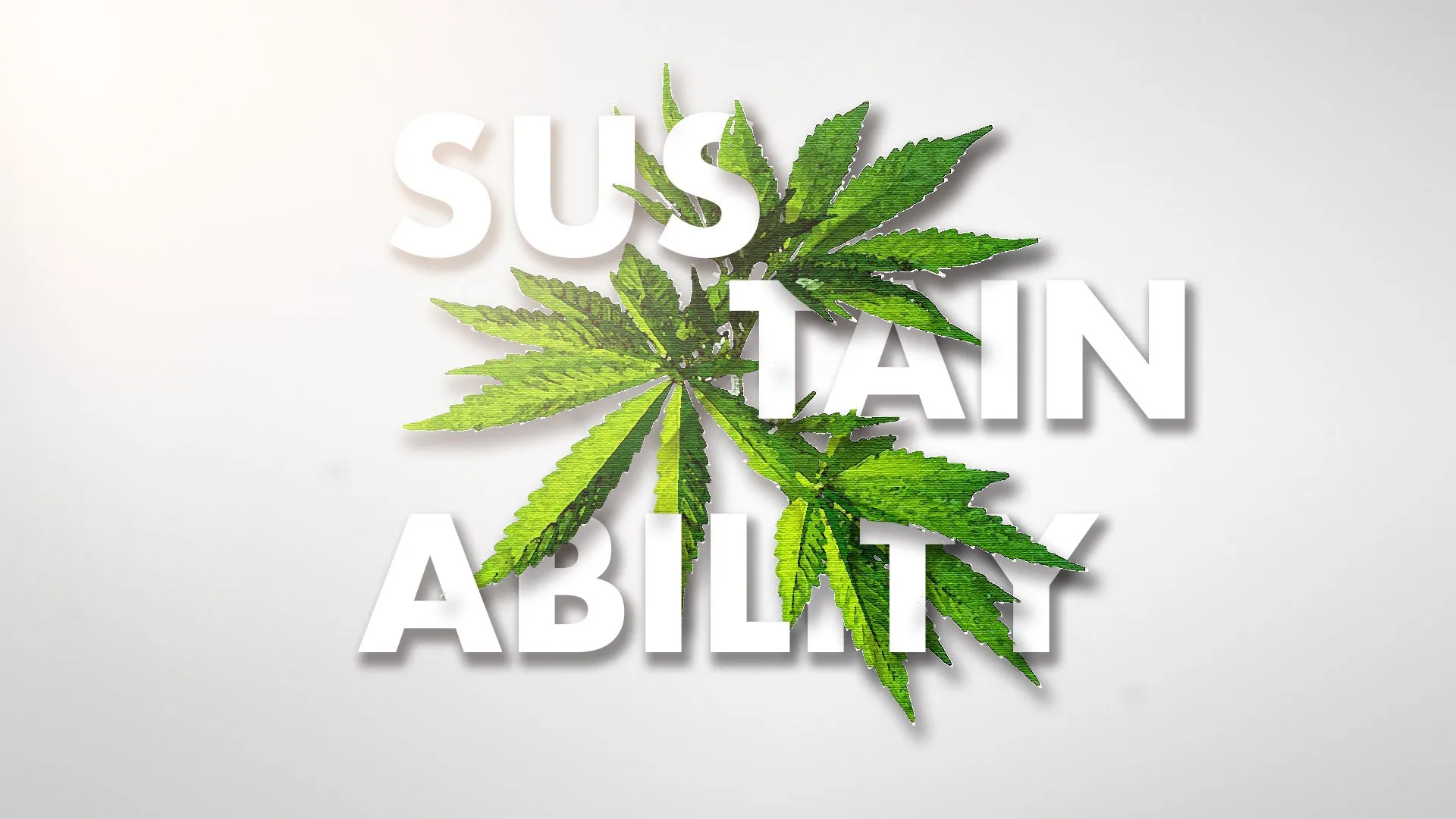 Cannabis+Sustainability