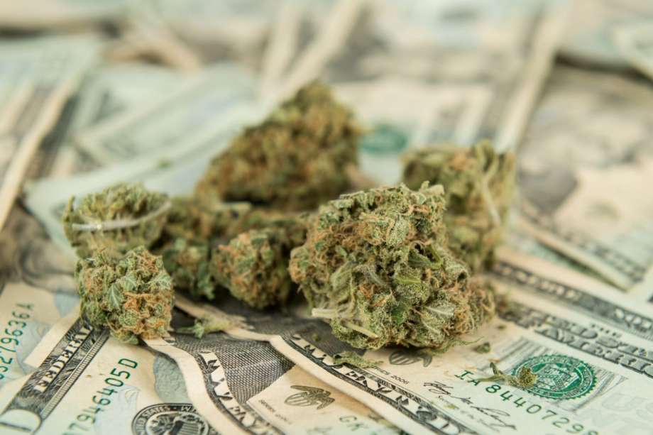 Cannabis+and+cash