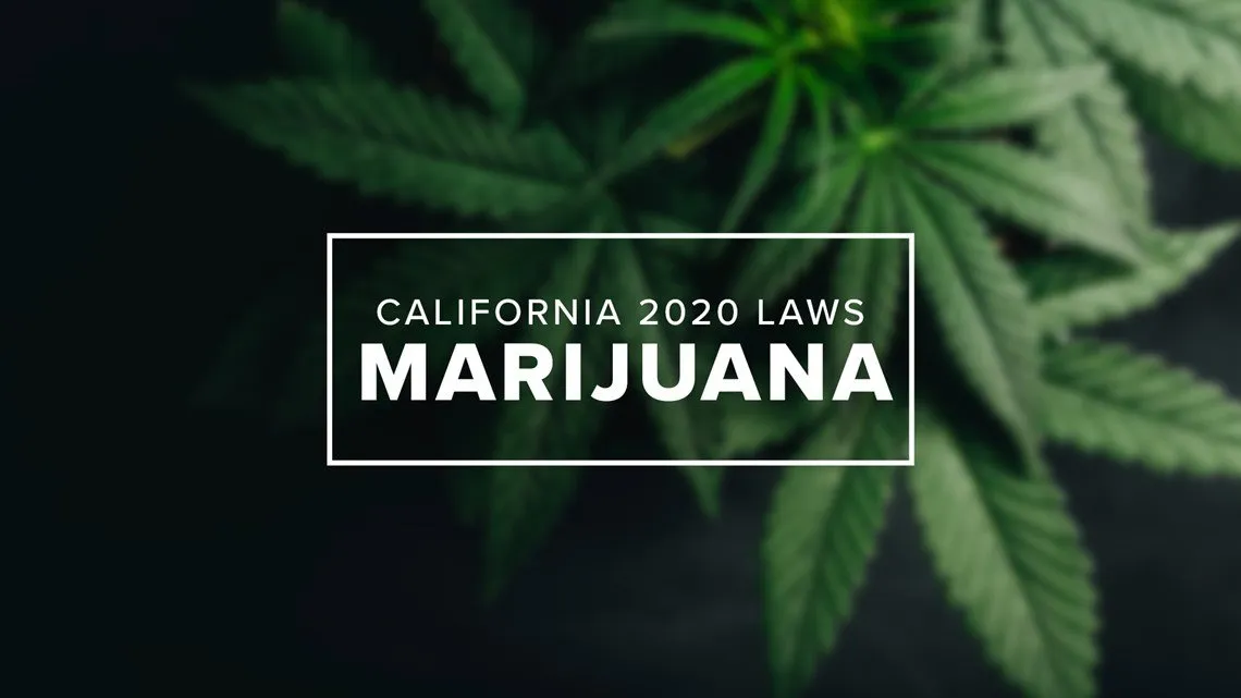 Cannabis+regulatory+laws