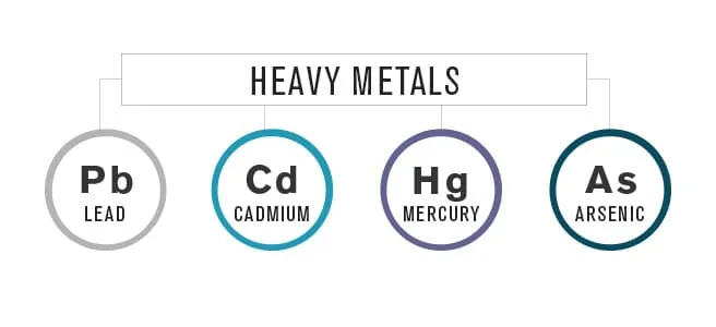 Heavy+Metals