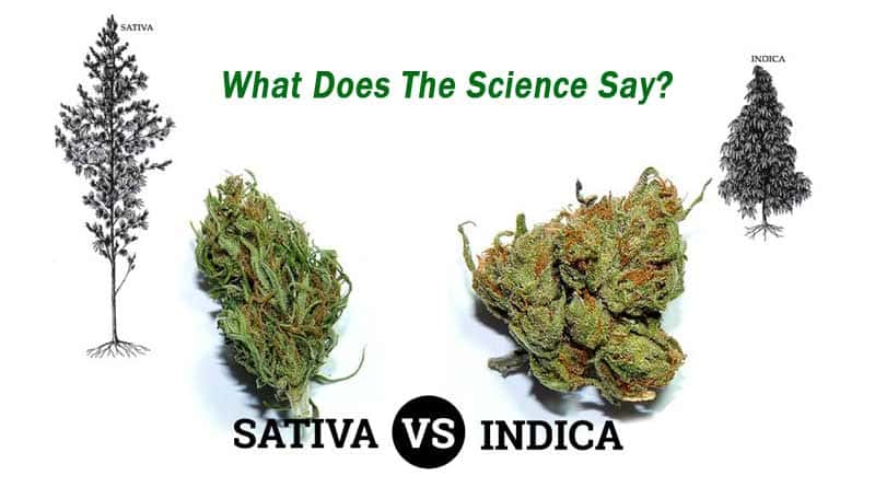 Ind+vs+Sat