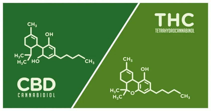 THC+CBD+Ratio