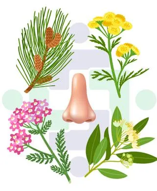 Terpenes