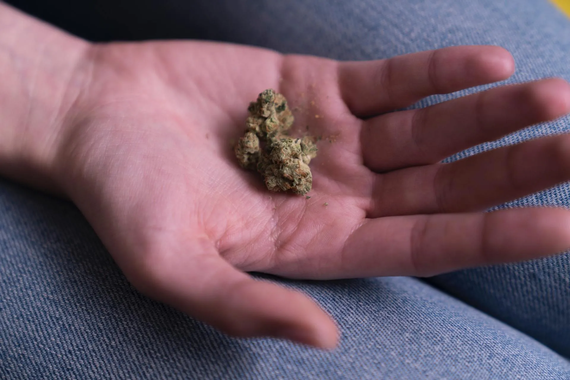 Cannabis