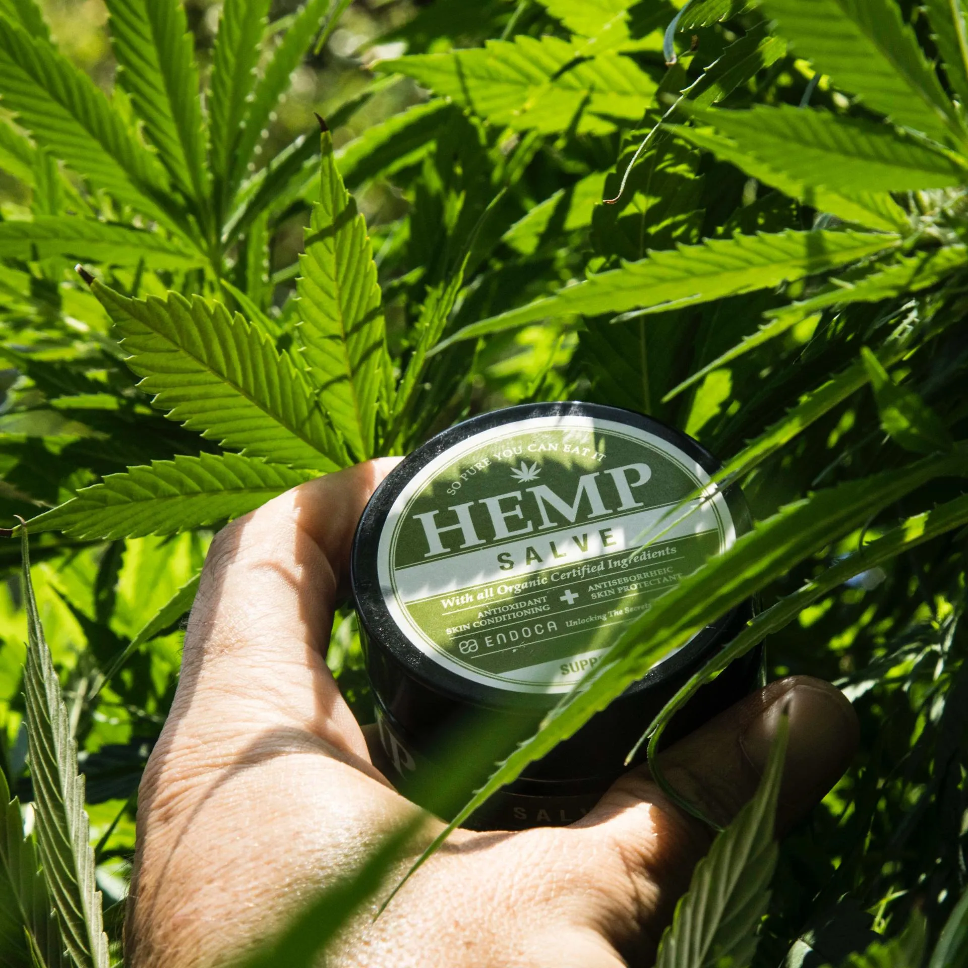 HEMP