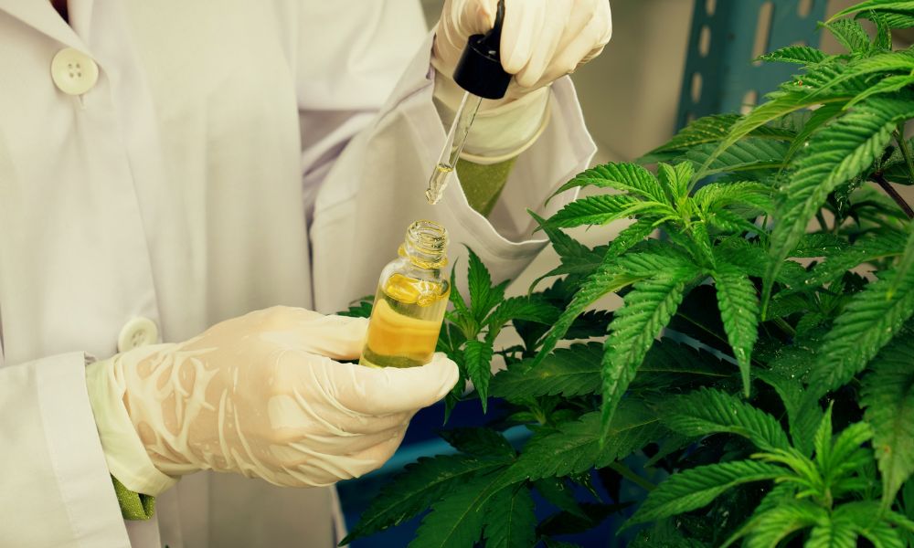 The Role of Data Analytics in Cannabis Testing