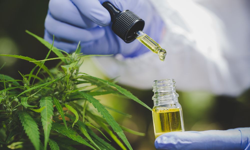 4 Tips for Streamlining Your Cannabis Testing Process
