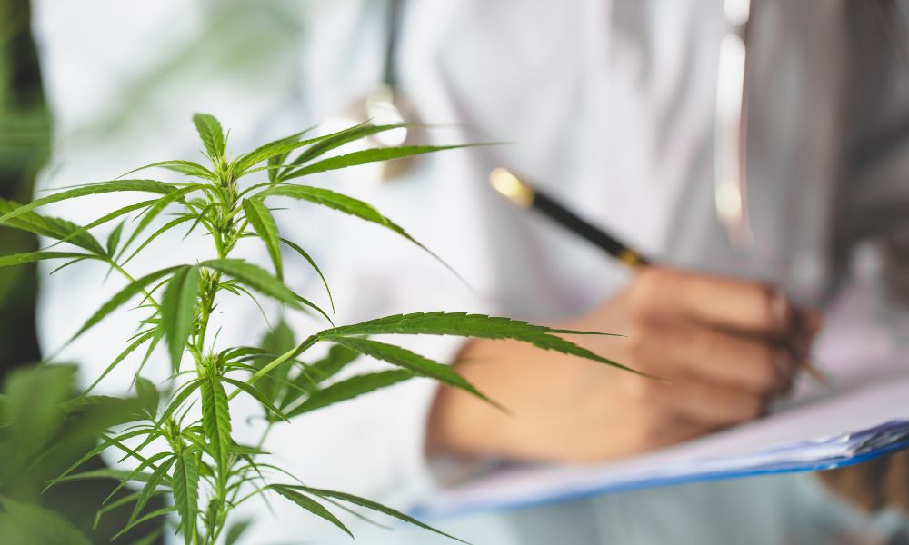 Cannabis Testing Innovations & Trends in California