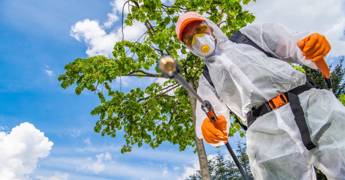 A low-angle view of a man wearing protective gear with a pesticide hose in hand. A large, green tree is behind them.