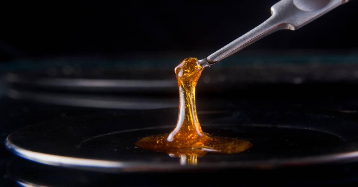 Amber-colored melted cannabis oil on a clear plate. A metal tool picks up some of the oil, and it clings to the end.