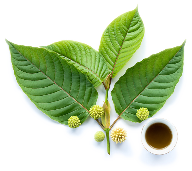 Kratom Testing