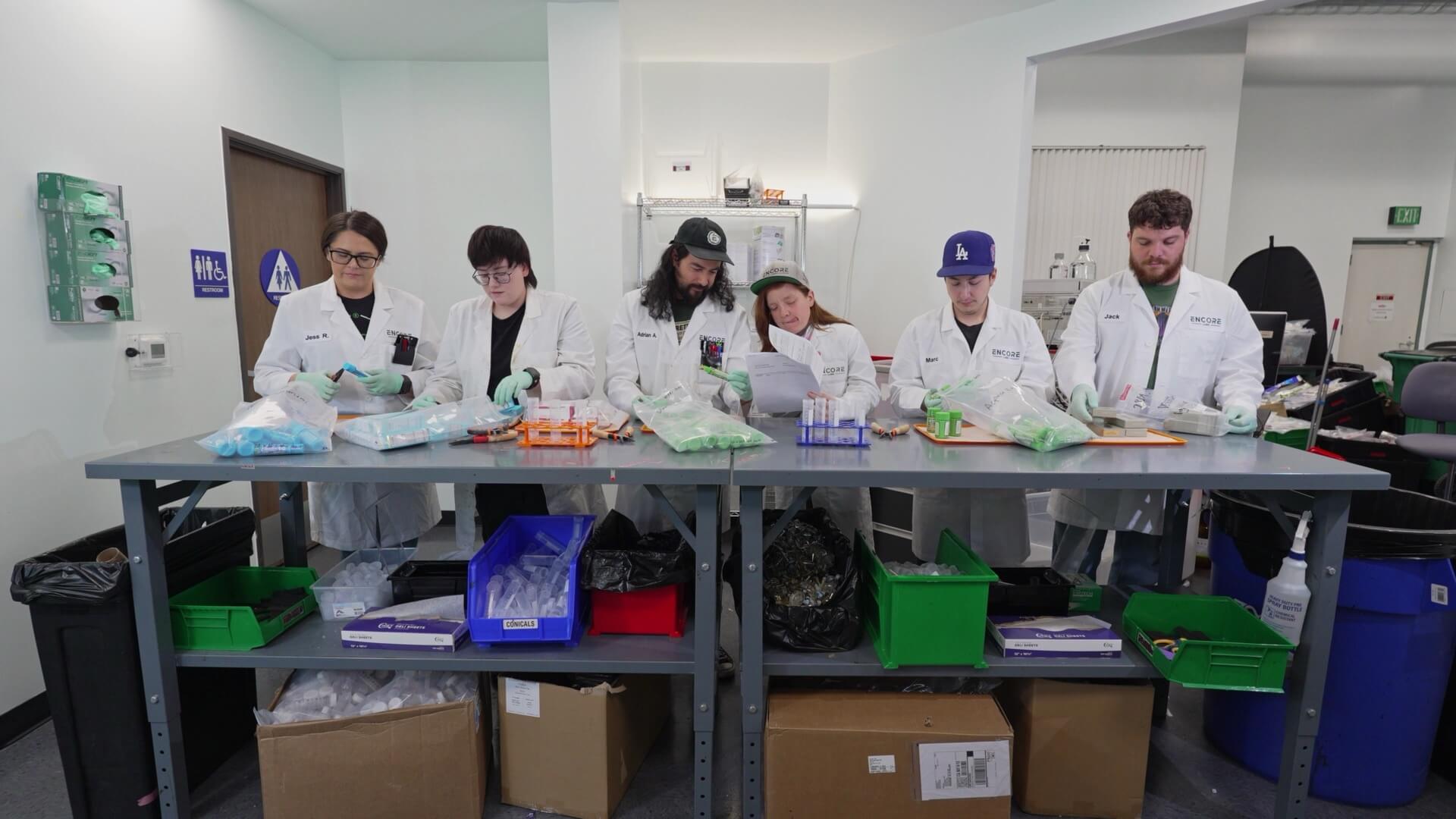 Meet The Team