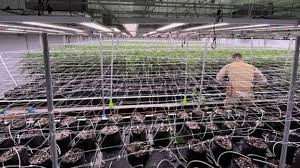 Proposed DCC Pesticide Regulations 2026 