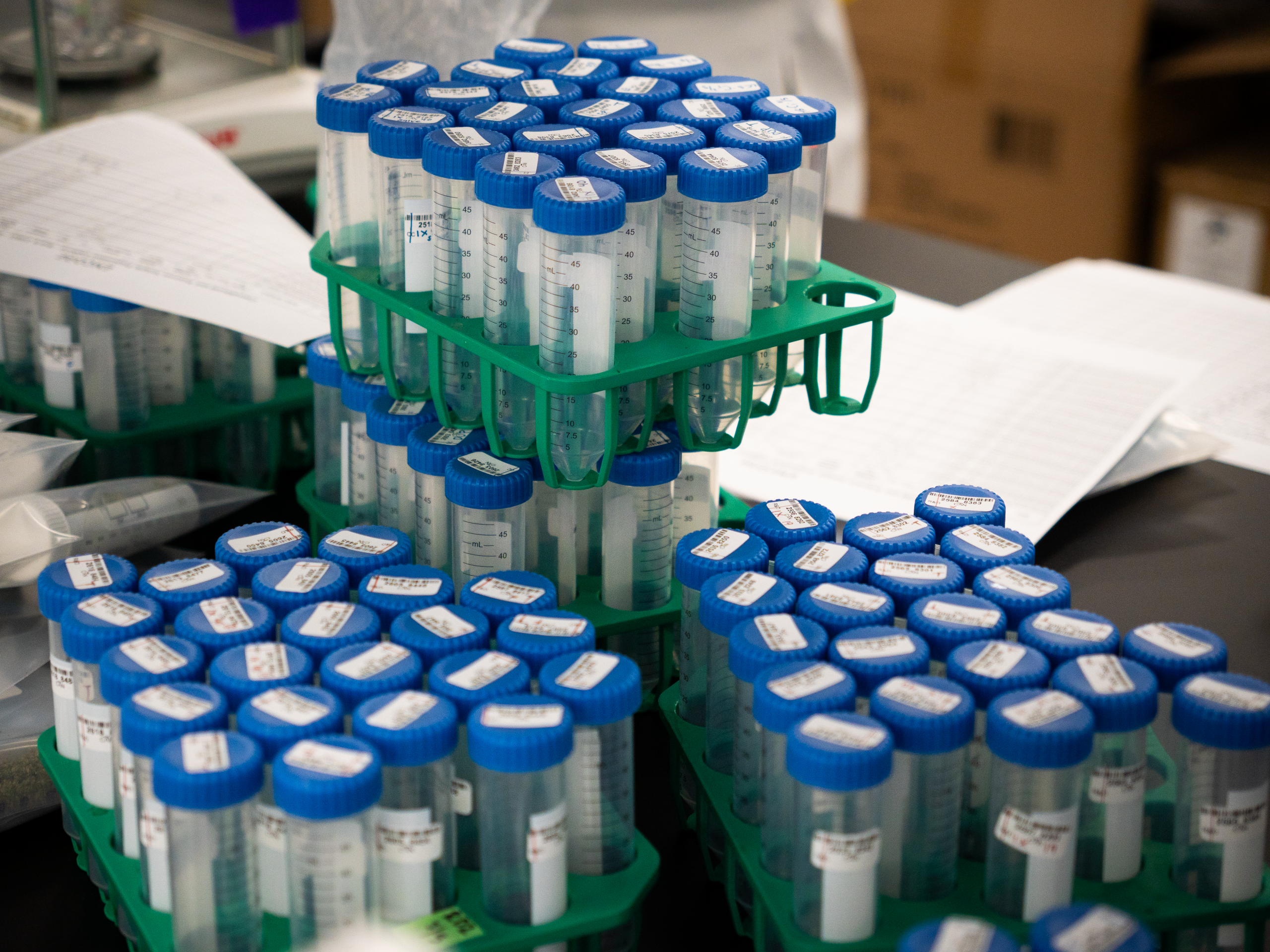 Pesticides Breakdown: Abamectin